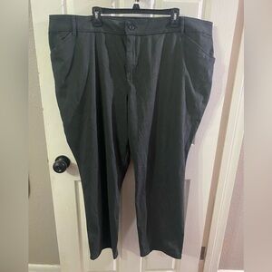 Lee Plus Women’s 26W Petite Pants